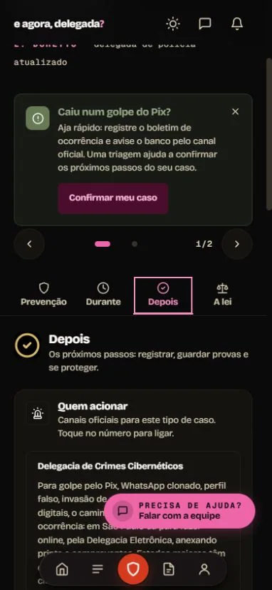 Tela real de uma ficha de orientação com abas para cada momento da situação.